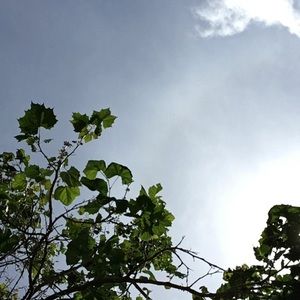 Meet your Posher, Johnny